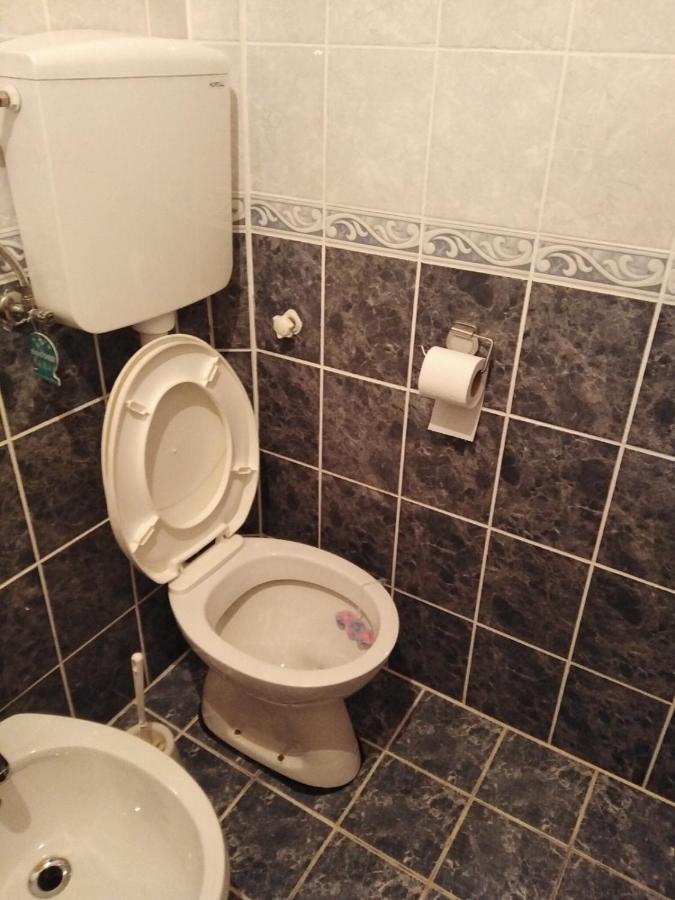 Apartmani Milojevic Divčibare Kültér fotó