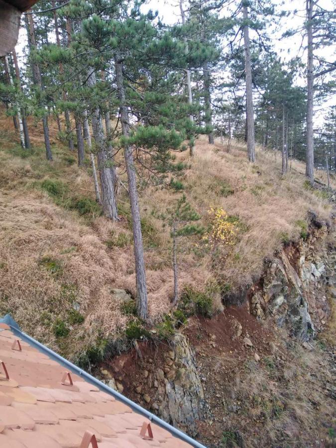 Apartmani Milojevic Divčibare Kültér fotó